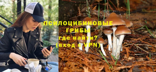 метамфетамин Медногорск