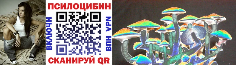 Галлюциногенные грибы Magic Shrooms  дарнет шоп  Нерчинск 
