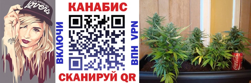 продажа наркотиков  Нерчинск  Марихуана семена 